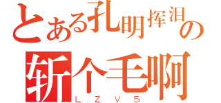 とある孔明挥泪斩马谡の斩个毛啊（ＬＺＶ５）