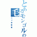 とあるモンゴルの毛（二ツ谷彰吾）