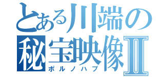 とある川端の秘宝映像Ⅱ（ポルノハブ）