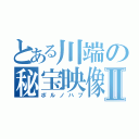 とある川端の秘宝映像Ⅱ（ポルノハブ）