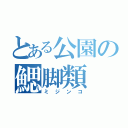 とある公園の鰓脚類（ミジンコ）