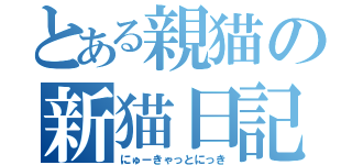 とある親猫の新猫日記。（にゅーきゃっとにっき）