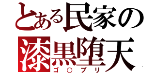 とある民家の漆黒堕天使（ゴ○ブリ）