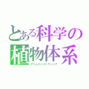 とある科学の植物体系（グリムスハイドランジア）