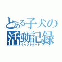 とある子犬の活動記録（ライブレポート）