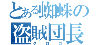 とある蜘蛛の盗賊団長（クロロ）