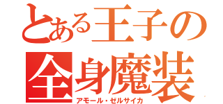 とある王子の全身魔装（アモール・ゼルサイカ）