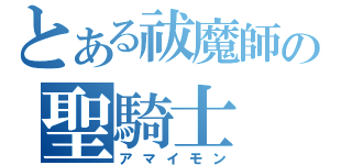 とある祓魔師の聖騎士（アマイモン）