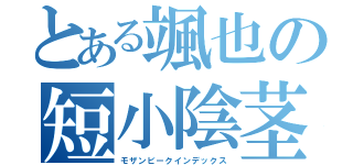 とある颯也の短小陰茎（モザンビークインデックス）