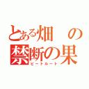 とある畑の禁断の果実（ビートルート）