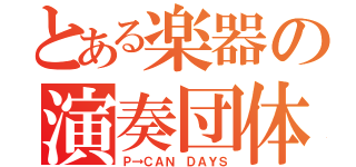 とある楽器の演奏団体（Ｐ→ＣＡＮ　ＤＡＹＳ）