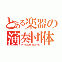 とある楽器の演奏団体（Ｐ→ＣＡＮ　ＤＡＹＳ）