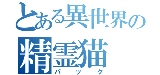 とある異世界の精霊猫（パック）