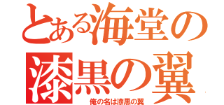 とある海堂の漆黒の翼（  俺の名は漆黒の翼）