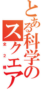 とある科学のスクエアクッション（全２種）