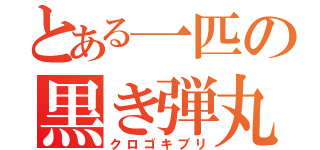 とある一匹の黒き弾丸（クロゴキブリ）