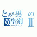 とある男の双聖剣Ⅱ（ツインエクスカリバー）