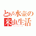 とある水壶の米虫生活（Ｔｏｒｔｏｉｓｅ）