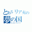 とあるリア充の夢の国（ディズニーリゾート）