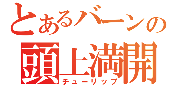 とあるバーンの頭上満開（チューリップ）