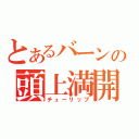 とあるバーンの頭上満開（チューリップ）