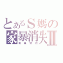 とあるＳ媽の家暴消失Ⅱ（衛星定位）