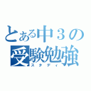 とある中３の受験勉強（スタディ）