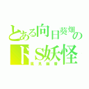 とある向日葵畑のドＳ妖怪（風見幽香）