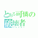 とある可憐の破壊者（ブレイカー）