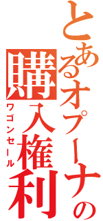 とあるオプーナの購入権利（ワゴンセール）