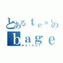 とあるｔｅｓｔのｂａｇｅｌ（ｗａｌｎｕｔ）