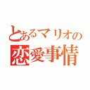 とあるマリオの恋愛事情（）