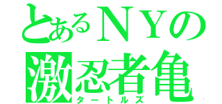 とあるＮＹの激忍者亀（タートルズ）