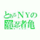 とあるＮＹの激忍者亀（タートルズ）