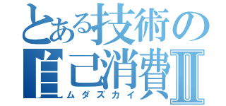 とある技術の自己消費Ⅱ（ムダズカイ）