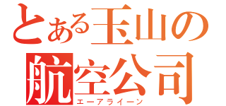 とある玉山の航空公司（エーアライーン）