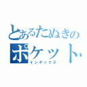 とあるたぬきのポケットの中（インデックス）