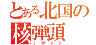 とある北国の核弾頭（テポドン）