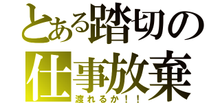 とある踏切の仕事放棄（渡れるか！！）