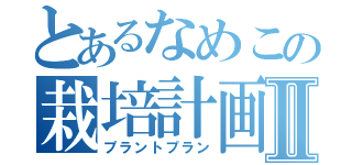 とあるなめこの栽培計画Ⅱ（プラントプラン）