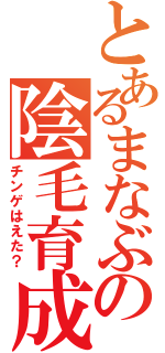 とあるまなぶの陰毛育成（チンゲはえた？）