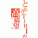 とあるＴＩＢＩの高橋望（ティビ）