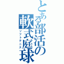 とある部活の軟式庭球（ソフトテニス）