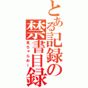 とある記録の禁書目録（見ちゃらめ～）