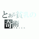 とある貧乳の奇術（ＴＲＩＣＫ）