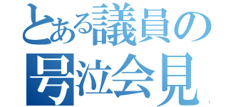 とある議員の号泣会見（）