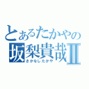 とあるたかやの坂梨貴哉Ⅱ（さかなしたかや）