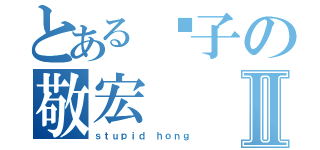 とある傻子の敬宏Ⅱ（ｓｔｕｐｉｄ ｈｏｎｇ）