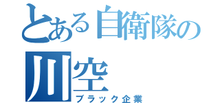 とある自衛隊の川空（ブラック企業）