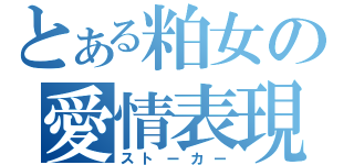 とある粕女の愛情表現（ストーカー）